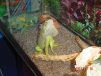 DSC02140.JPG