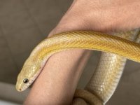 IMG_3954 Small.jpeg