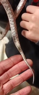 Screenshot_20260101_191701_Video Player.jpg