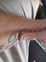 20260727_111559.jpg