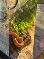 IMG_1226.jpeg