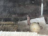 IMG_2754.jpeg