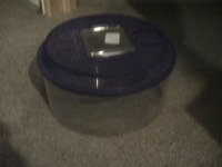 IMG_0199.JPG
