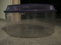 IMG_0200.JPG