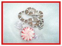 xmascontest 0693.jpg