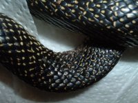 DSCF0591.JPG