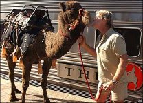 _42046144_irwincamel_ap_picgall.jpg