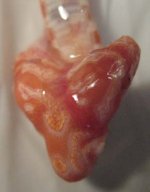 deform-bebis 005.jpg