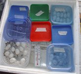 4`24`05-Incubator-set-up.jpg