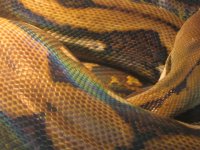 IMG_1681.JPG