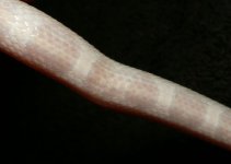 top-side.jpg
