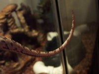 100_1096.jpg