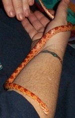 Picture 019.jpg