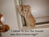 mouser.jpg