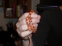 lil lucy2.JPG