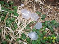 hail 007.jpg