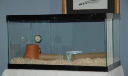 snaketank.jpg