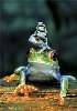 tree frogs.jpg