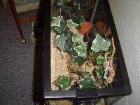 DSC01286.jpg