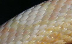 100405 corina (1).JPG