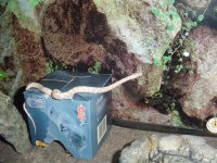 DSC00859 (Small).JPG