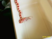 PIC_0007.JPG