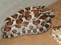112805 sonny.JPG