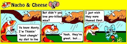 nacho&cheese.jpg