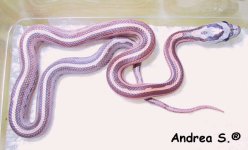 137-3771_img.jpg