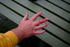 bite-00.jpg