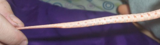 100_3839.JPG
