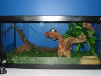 Annabella-viv2.jpg