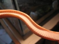 IMG_1388.JPG