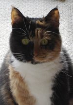 Mia portrait.jpg