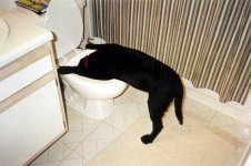 Hard_night.JPG