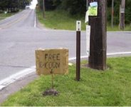 free_coon.jpg