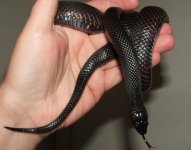 090906 maria fs (3).JPG