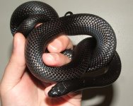 090906 maria fs (7).JPG