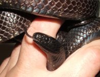 090906 maria fs (9).JPG