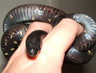 090906 maria fs (13).JPG