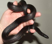 090906 maria fs (18).JPG