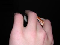 DSCN4784 (Small).JPG