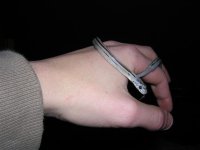 DSCN4810 (Small).JPG