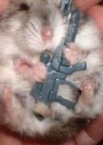 madgerbil.jpg