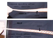 tail.jpg