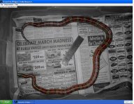 Betty measurement1.JPG