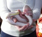 marblescoral.jpg