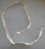 test1.JPG