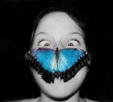Melly's a butterfly facek.JPG