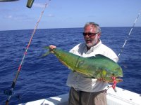 downsized mahi-mahi.jpg